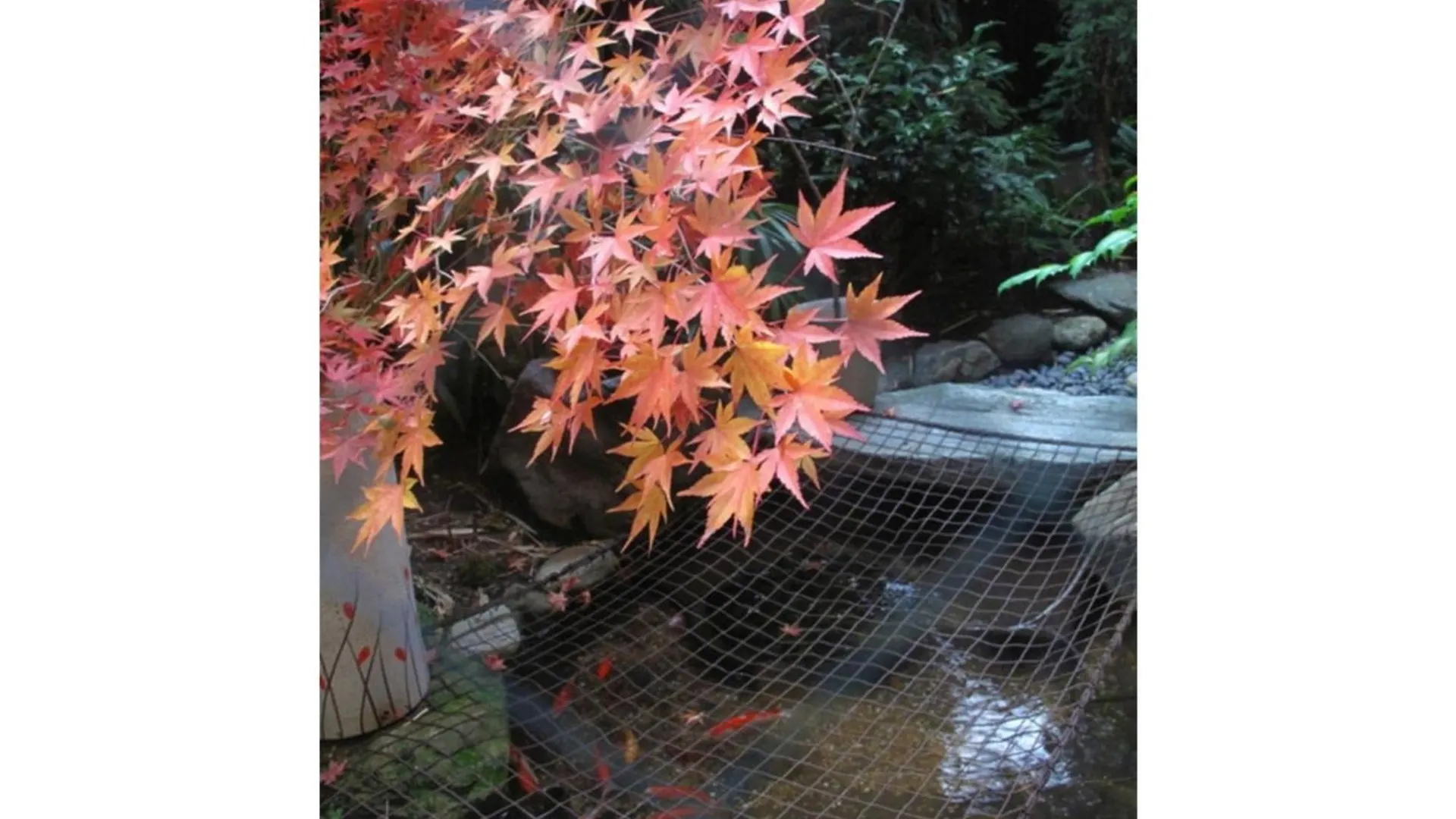 Hotel Matsubaya Ryokan - Vacation Stay 05188V Kyoto